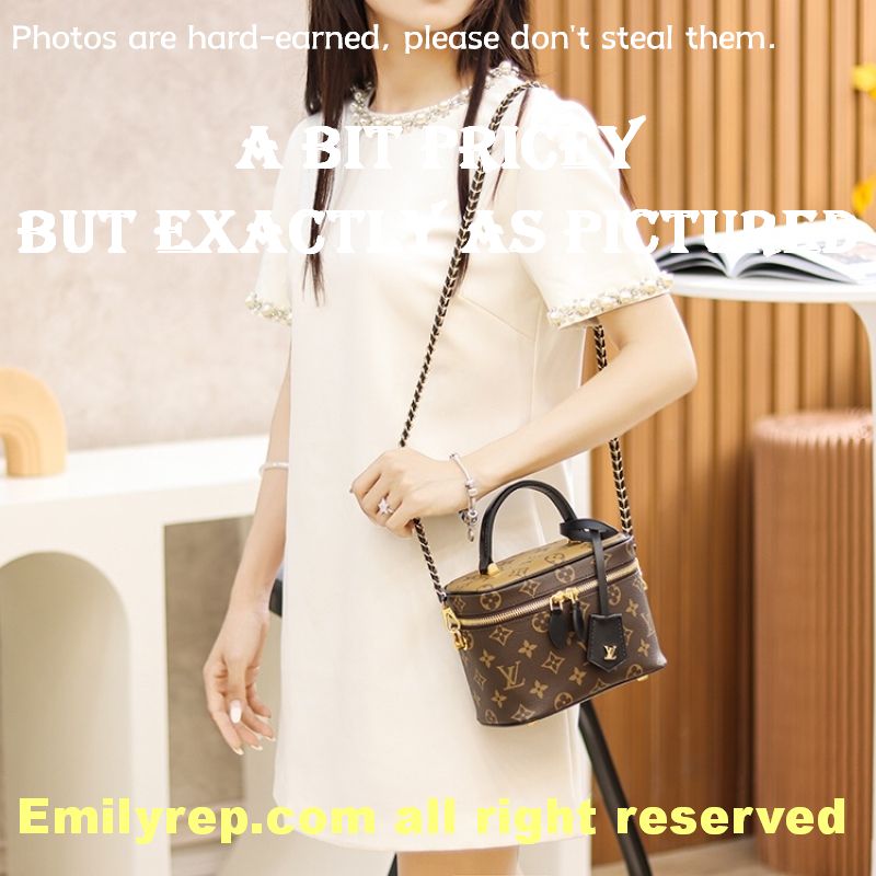 Louis Vuitton M45165 Vanity Pm Bag