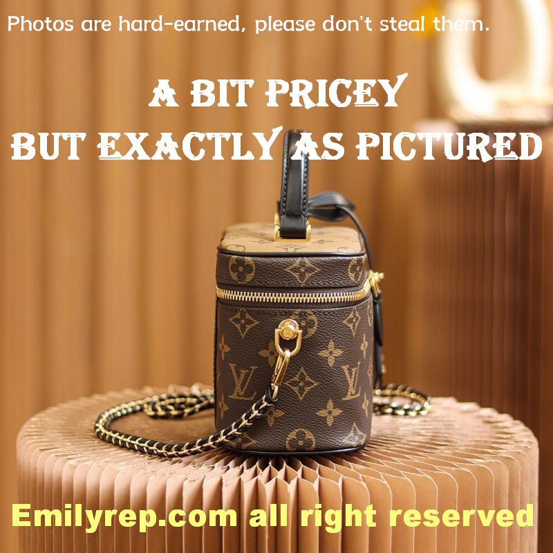 Louis Vuitton M45165 Vanity Pm Bag
