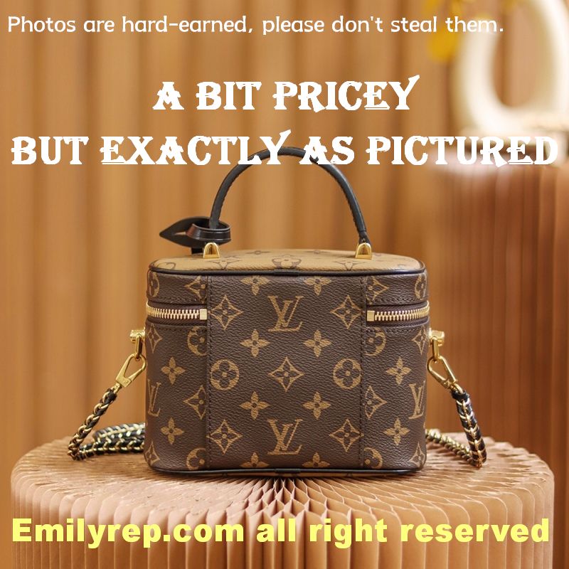Louis Vuitton M45165 Vanity Pm Bag