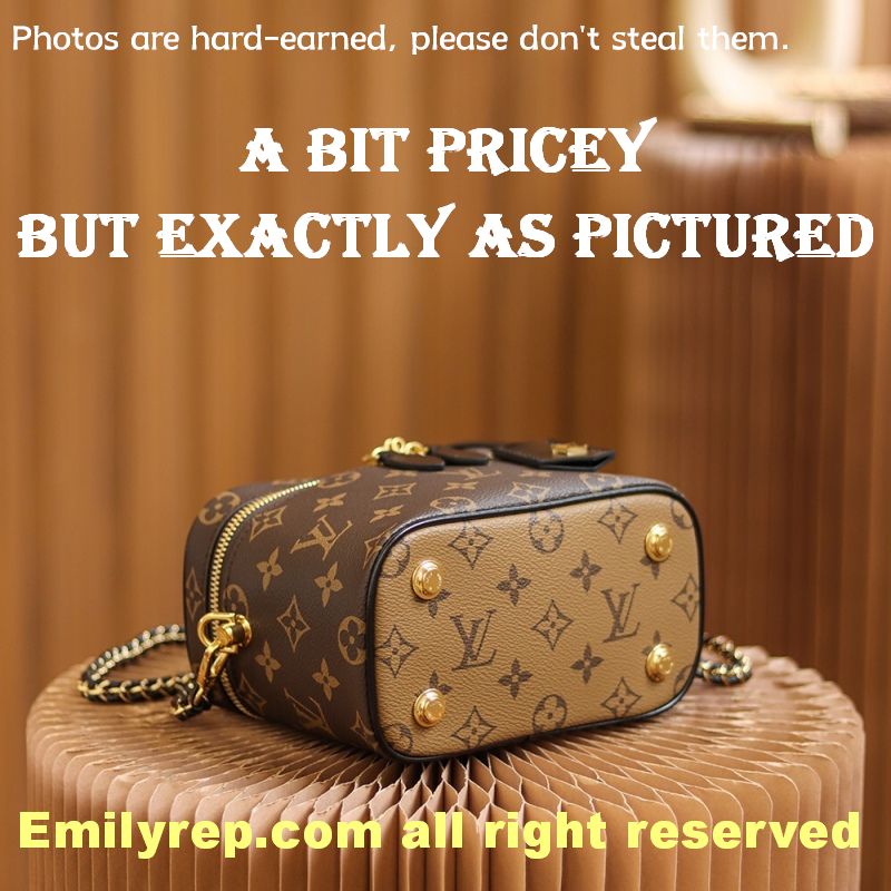 Louis Vuitton M45165 Vanity Pm Bag