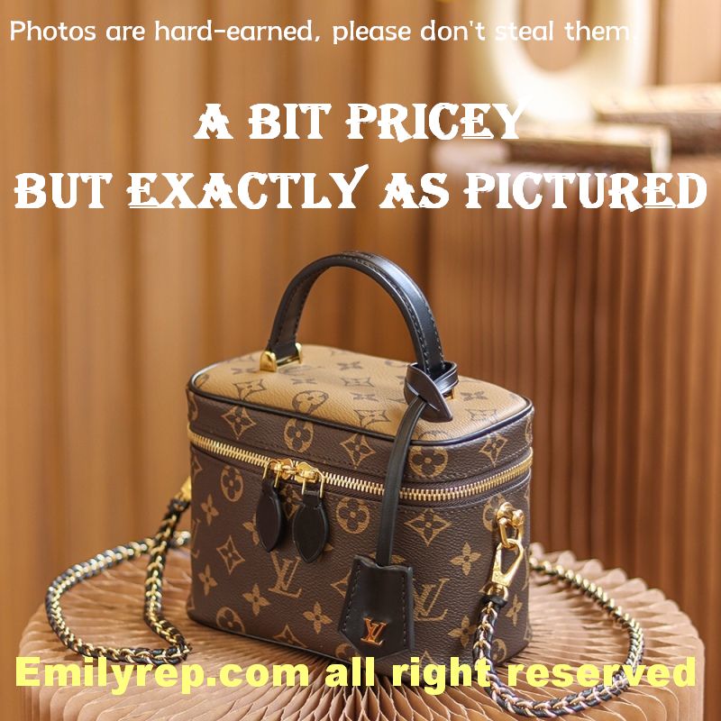 Louis Vuitton M45165 Vanity Pm Bag