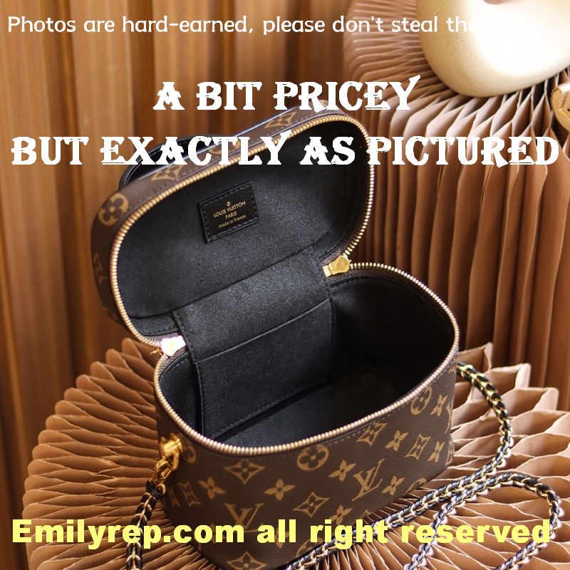 Louis Vuitton M45165 Vanity Pm Bag