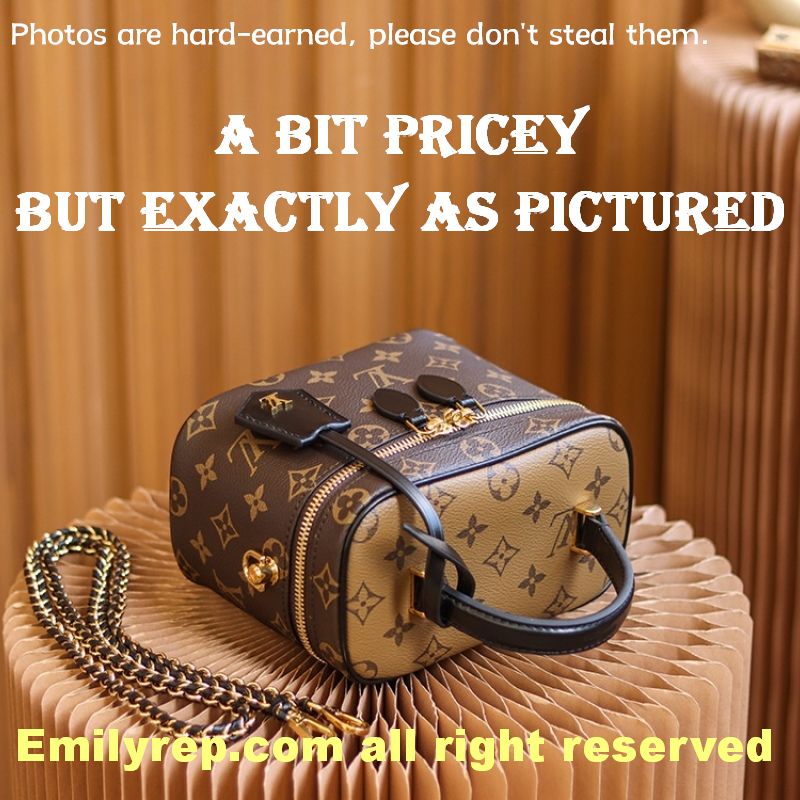 Louis Vuitton M45165 Vanity Pm Bag