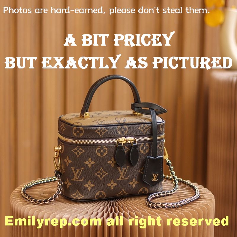 Louis Vuitton M45165 Vanity Pm Bag