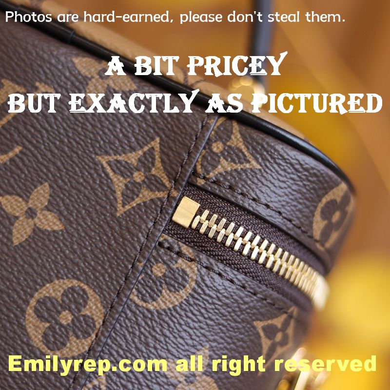 Louis Vuitton M45165 Vanity Pm Bag