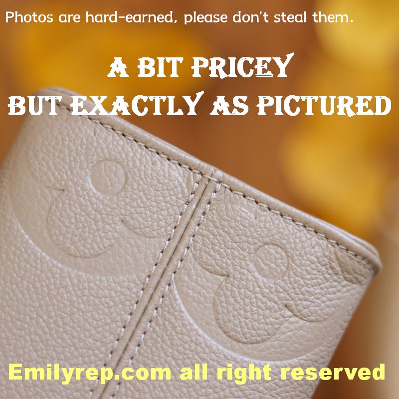 Louis Vuitton M45660 Onthego Small M45660