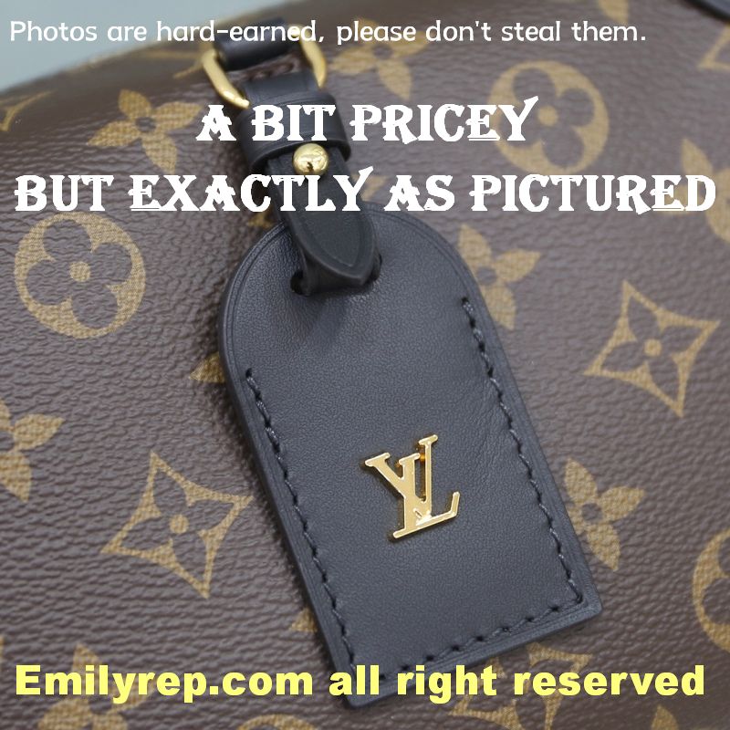 Louis Vuitton M81266 Nano Noé