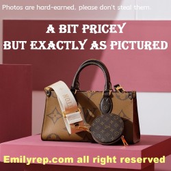 Louis Vuitton M46653 Onthego East West