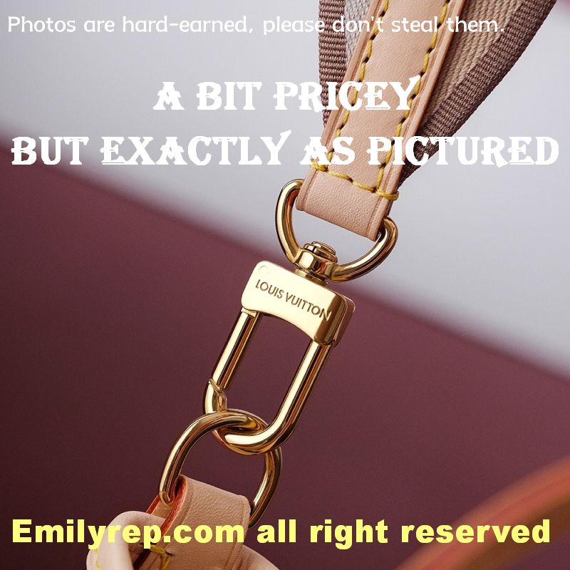 Louis Vuitton M44871 Palm Springs Pm