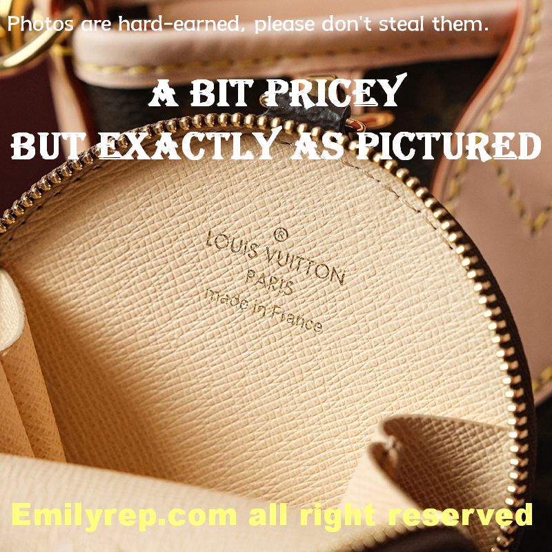 Louis Vuitton M44871 Palm Springs Pm