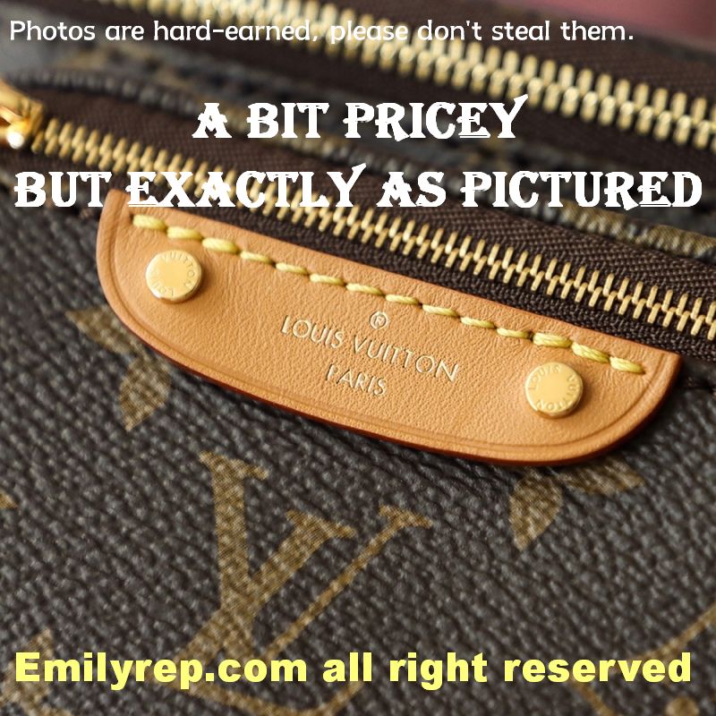 Louis Vuitton M82335 Mini Bumbag