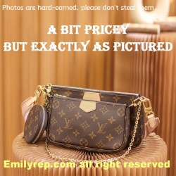 Louis Vuitton M44840 Multi Pochette Accessories Handbag