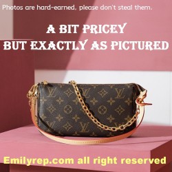Louis Vuitton M82766 Pochette Accessoires