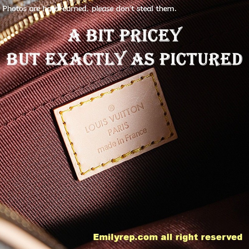 louis vuitton croissant m46828 25-15-5cm