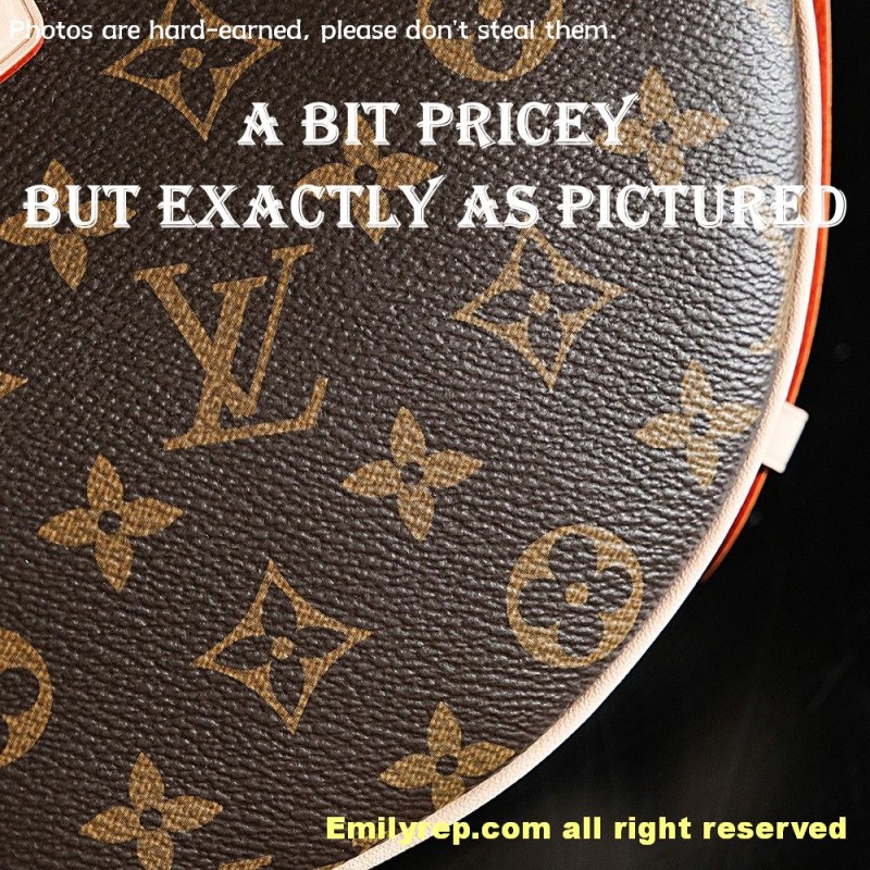 louis vuitton croissant m46828 25-15-5cm