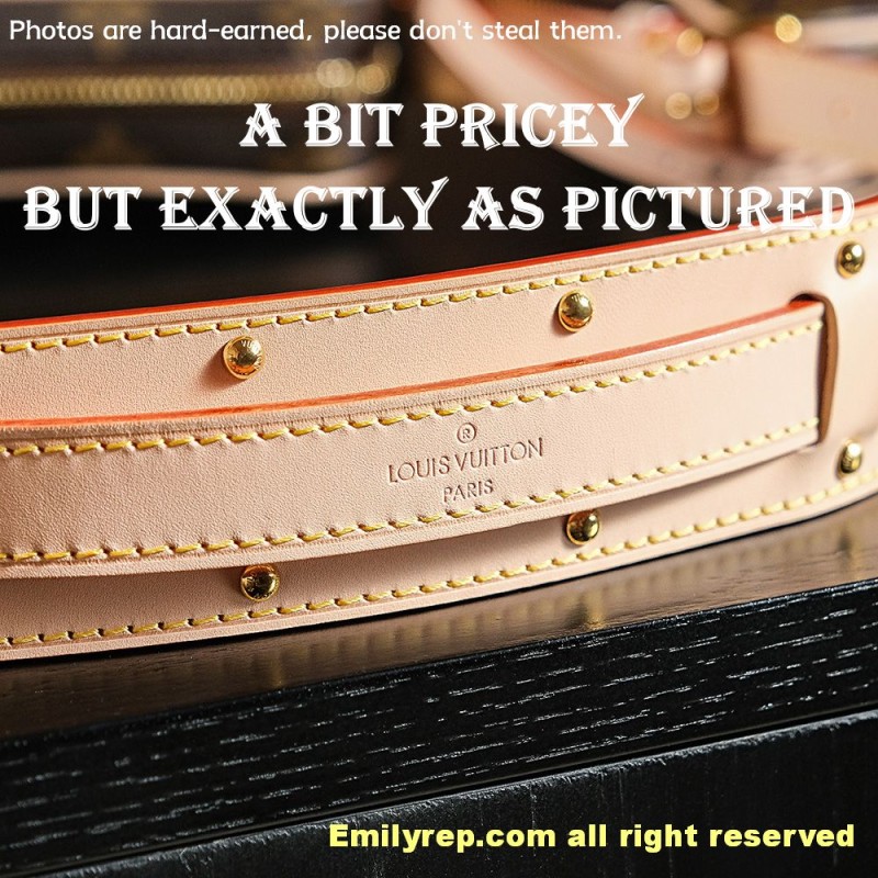 louis vuitton croissant m46828 25-15-5cm