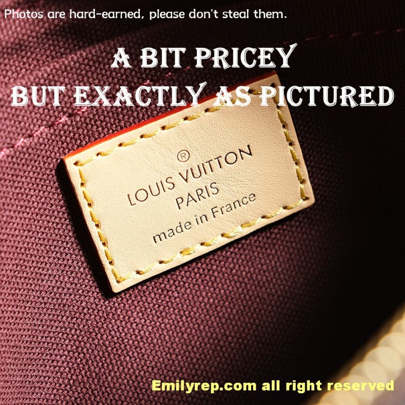 louis vuitton vivacite m46999 25-15-8 cm