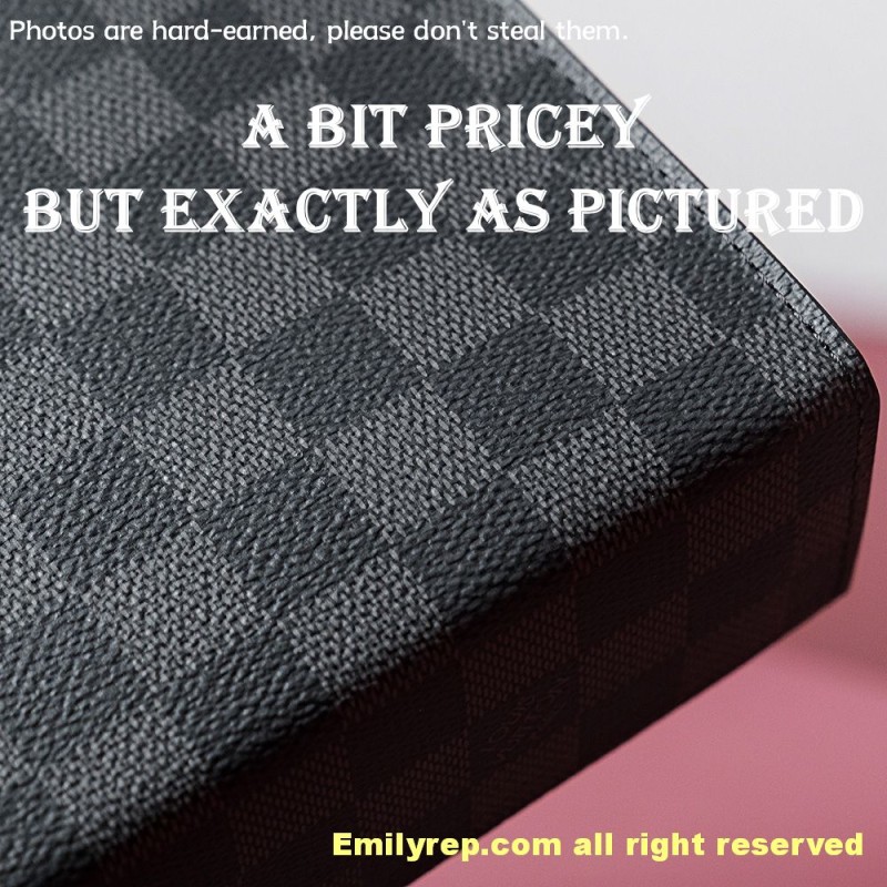 louis vuitton pochette voyage N41696 27-21-6cm