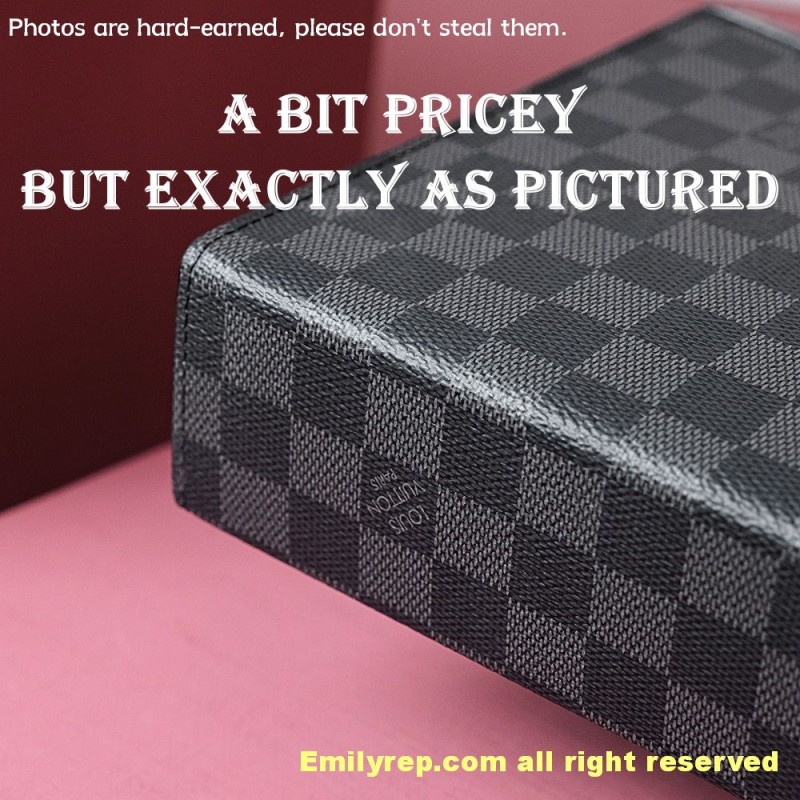 louis vuitton pochette voyage N41696 27-21-6cm