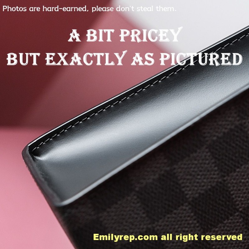 louis vuitton pochette voyage N41696 27-21-6cm