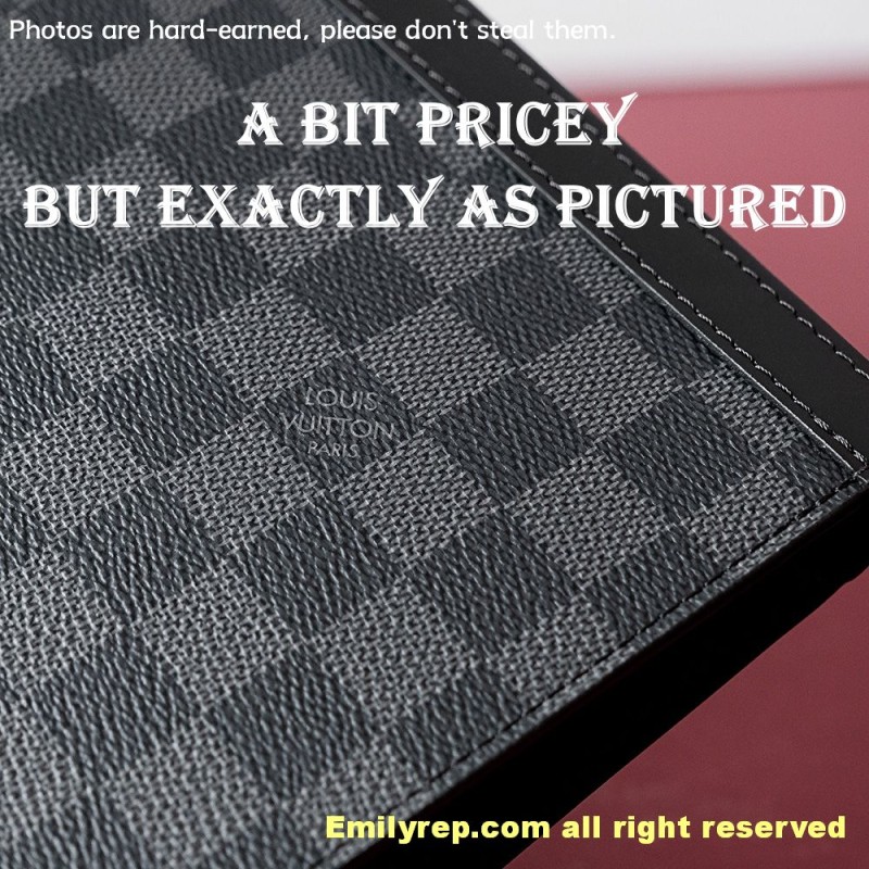 louis vuitton pochette voyage N41696 27-21-6cm