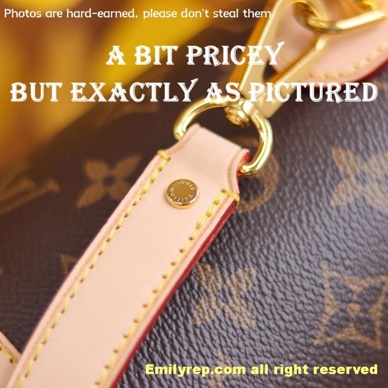 louis vuitton duffle M43587 22-23-14cm