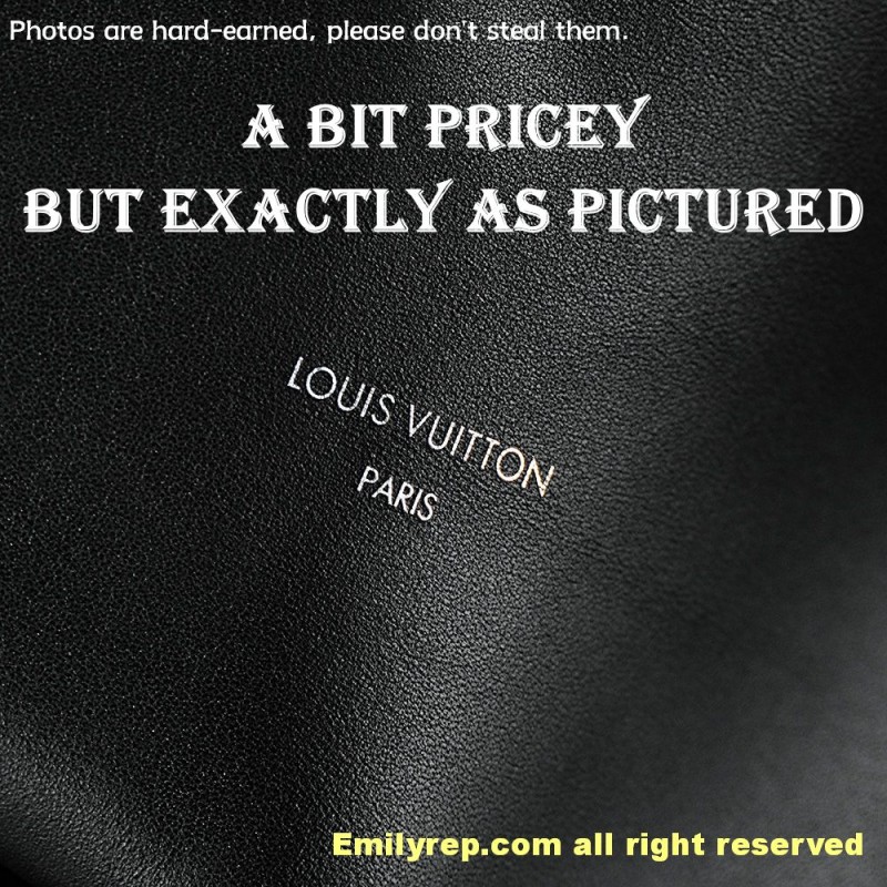 louis vuitton carryall dark M25143-PJ1480