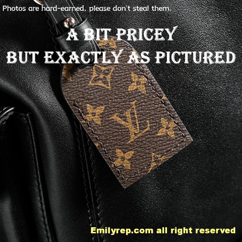 louis vuitton carryall dark M25143-PJ1480