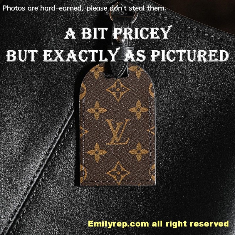 louis vuitton carryall dark M25143-PJ1480