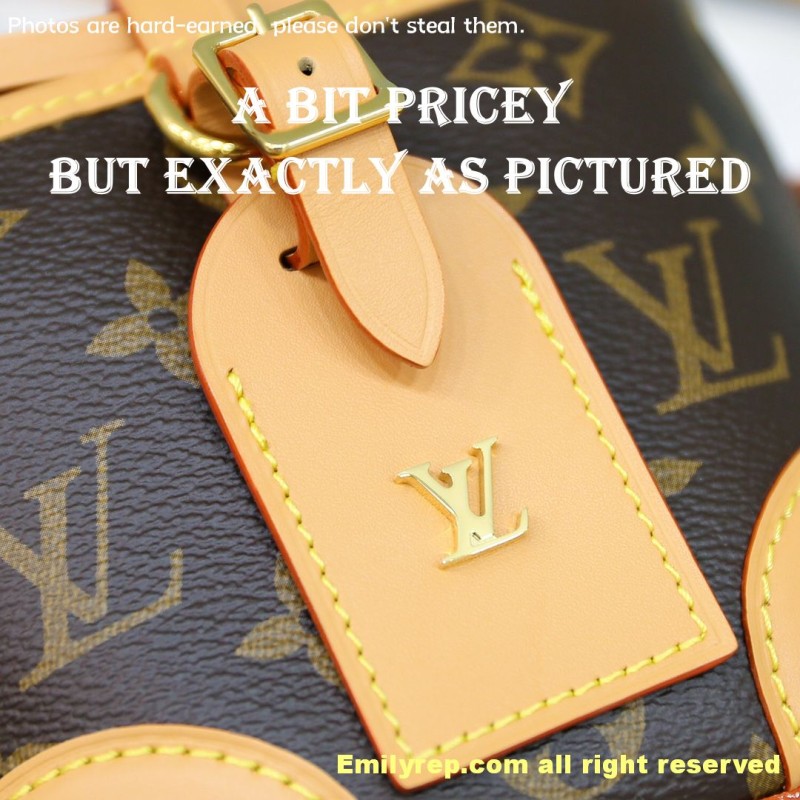 louis vuitton noe purse M57099 11.5-12-11.5cm