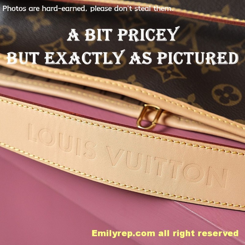 louis vuitton delightful M40352 35-28-14cm