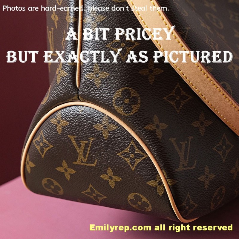 louis vuitton delightful M40352 35-28-14cm